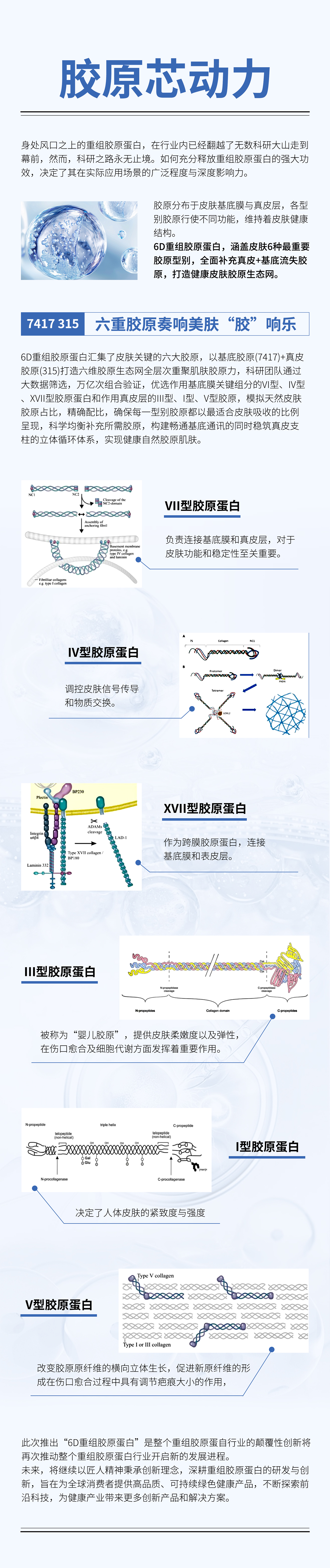 胶原蛋白.jpg